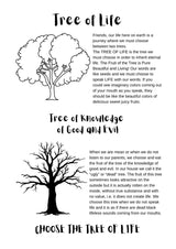 Light of the World Series - Fruits of The Bible / Vrugte van die Bybel