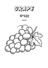 Light of the World Series - Fruits of The Bible / Vrugte van die Bybel