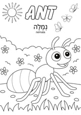 Light of the World Series - Animals of the Bible / Diere van die Bybel