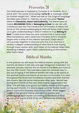 Proverbs 31 Woman - 2026 Daily Planner