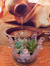 Glass Crown