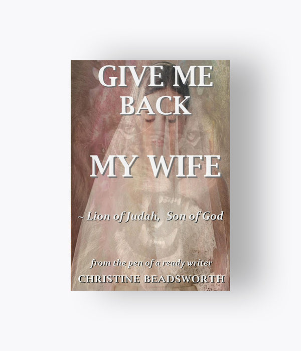 Give Me Back My Wife - Christine Beadsworth