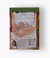 Yolandie Mostert - Song of Songs: The Exciting Bridal Journey