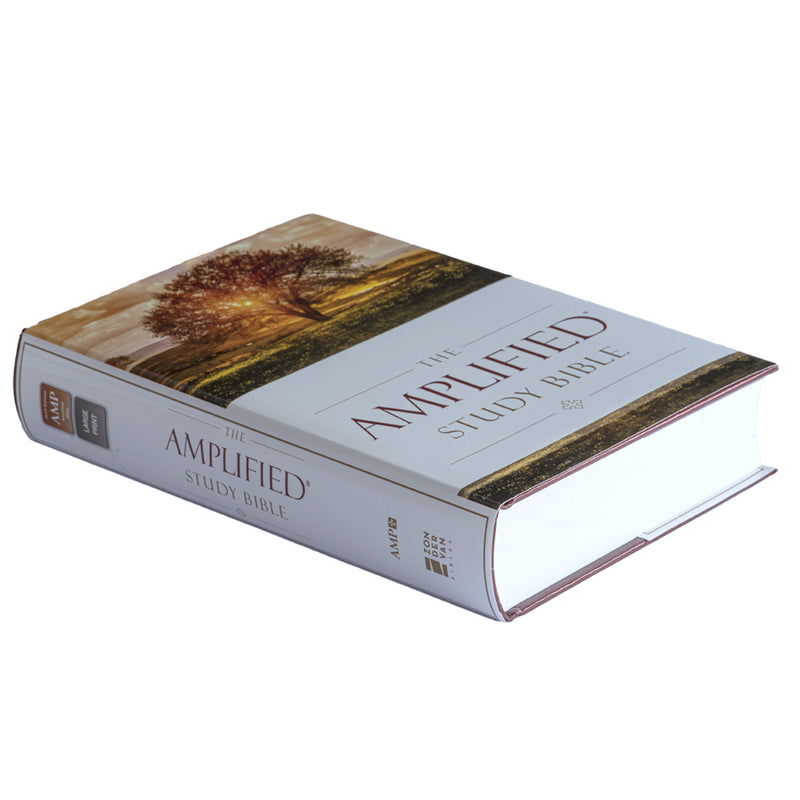 Amplified Study Bible Large Print