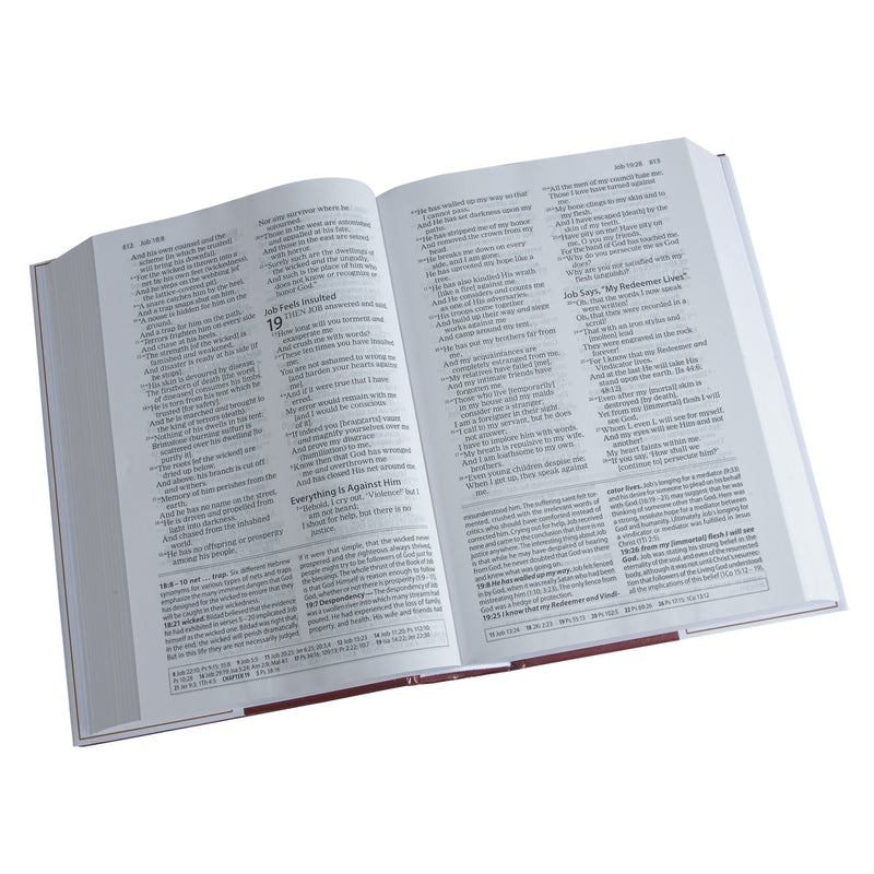 Amplified Study Bible Large Print