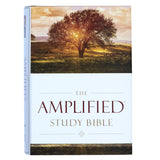 Amplified Study Bible Large Print