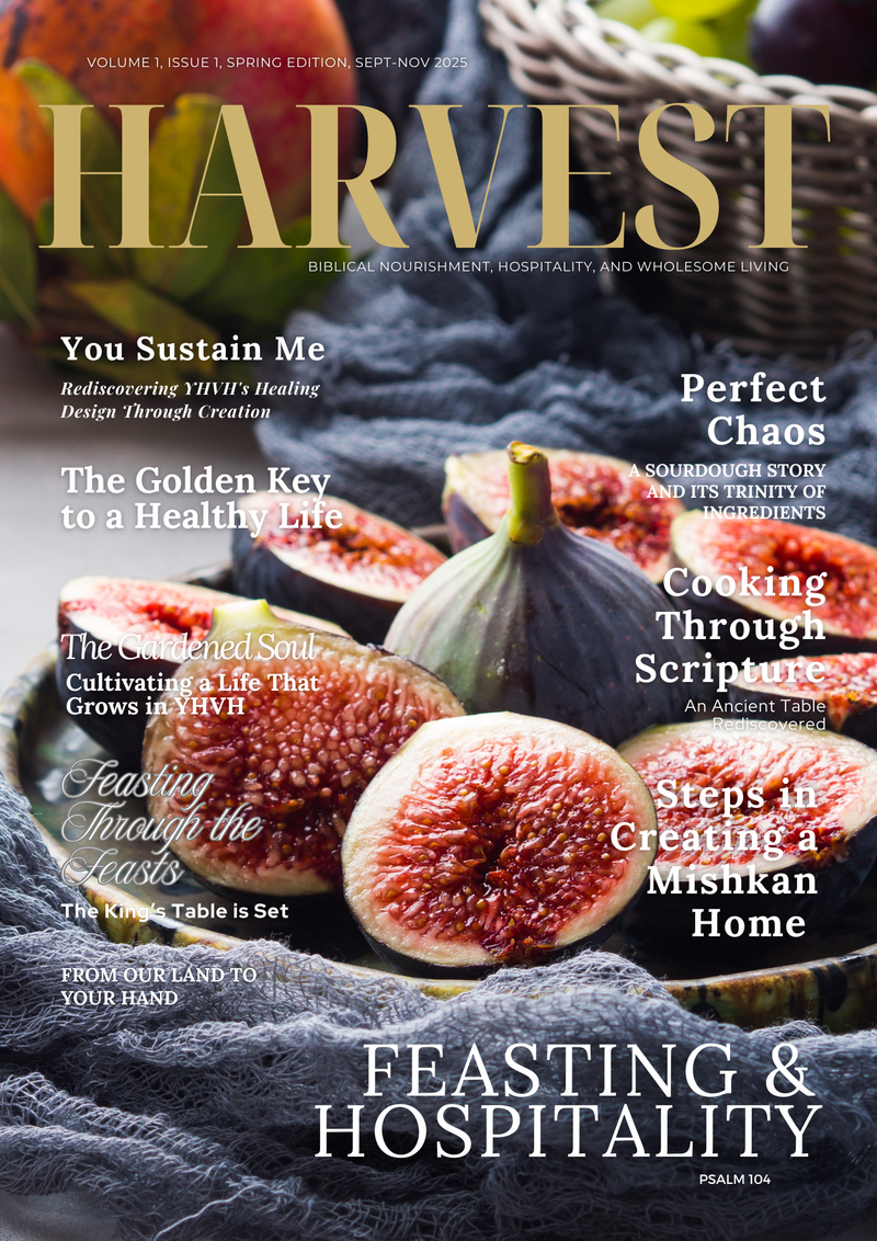 Devoted Living Publications - Harvest Magazine