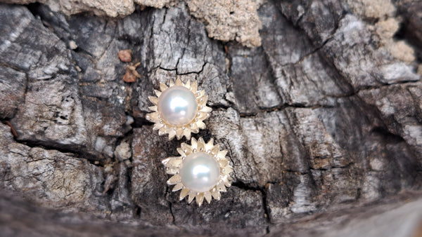 Protea And Freshwater Pearl Earrings