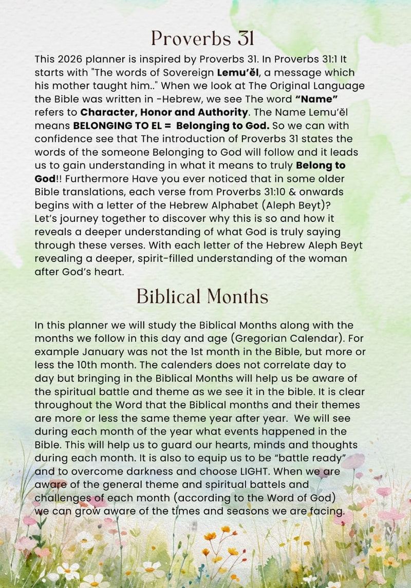 Proverbs 31 Woman - 2026 Daily Planner