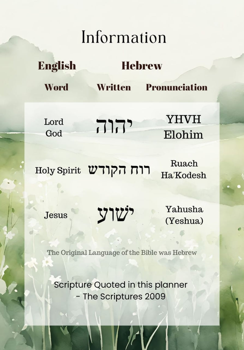 Proverbs 31 Woman - 2026 Daily Planner