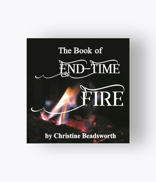 The Book Of End Time Fire - Christine Beadsworth